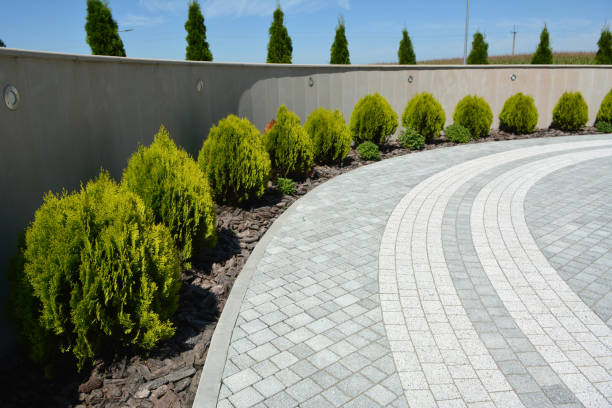 Best Paver Driveway Replacement  in USA